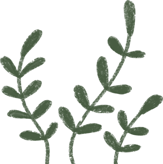 Chalk Leaves Illustration 